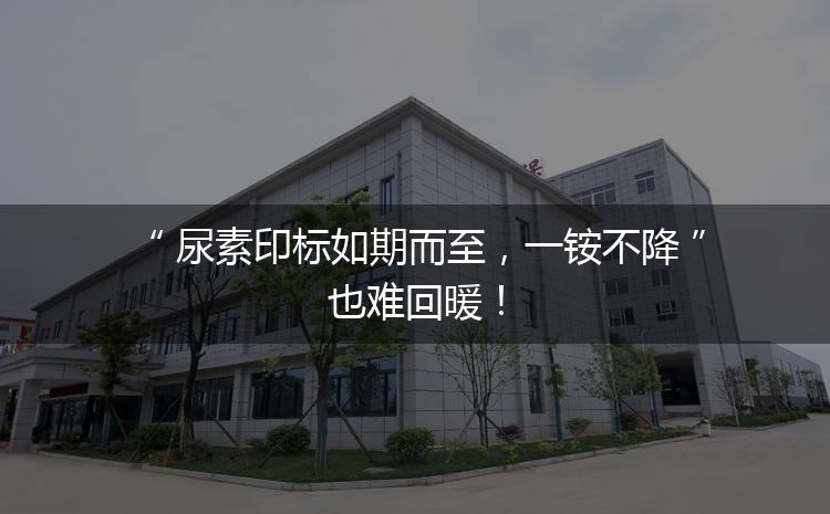 尿素印標如期而至，一銨不降也難回暖！