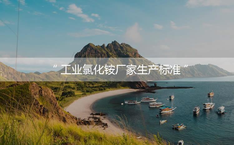 工業(yè)氯化銨廠家生產標準，生產過程進行嚴密的監(jiān)控！